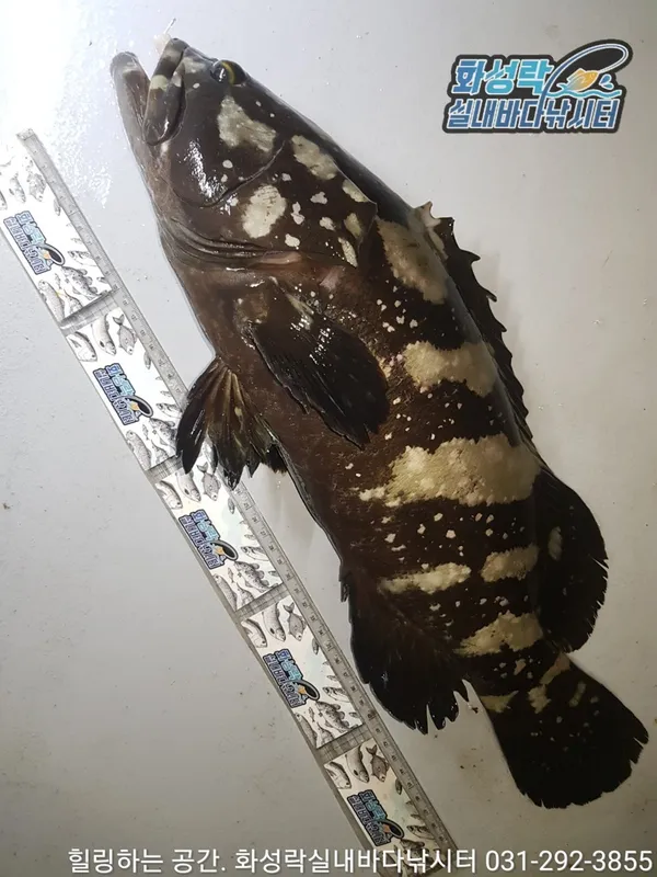 ファソンラク室内海釣り場の写真4