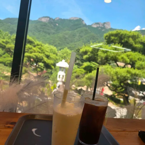 제천 추천 3탄 8곳