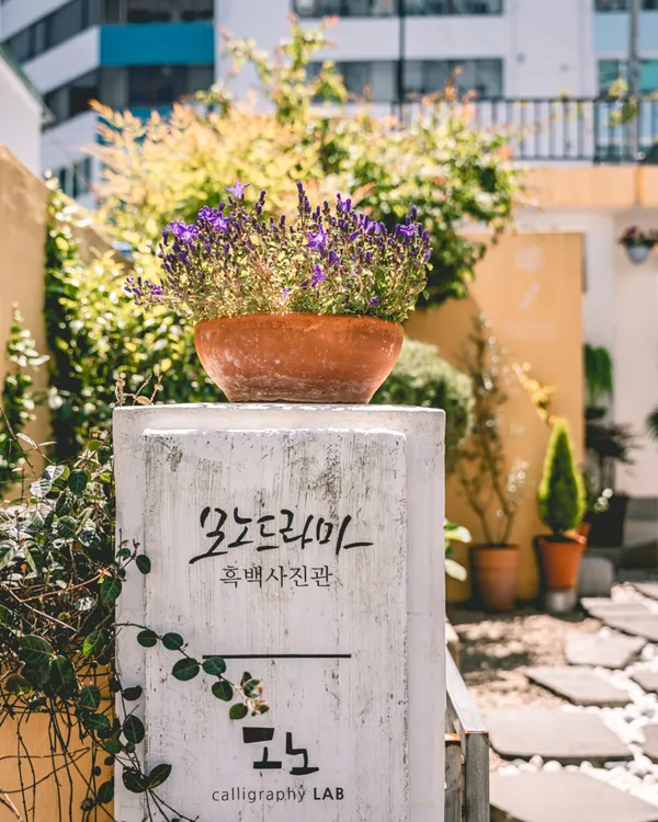 모노드라마 사진 3