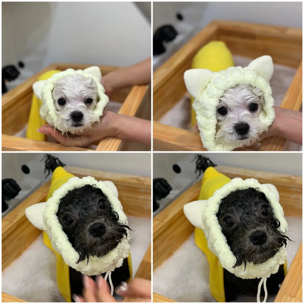 モンシェルデンデンのメイン写真