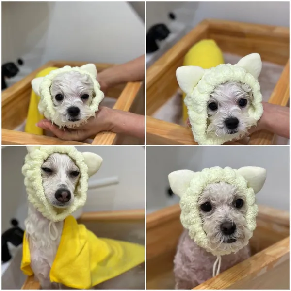 モンシェルデンデンの写真3