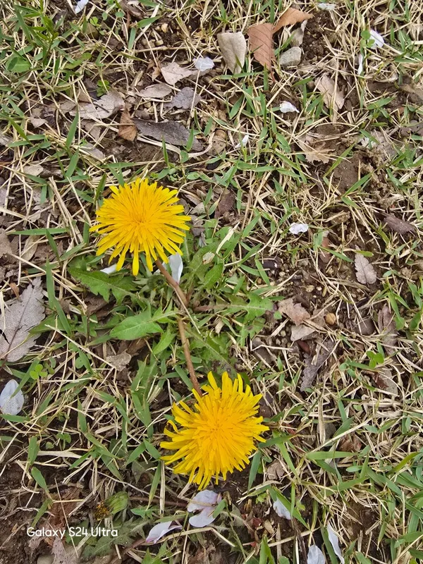 간이역휴먼시아1차역점, photo 4