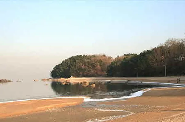 スギ海水浴場の写真2