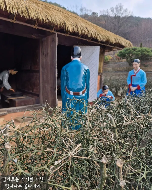 연산군유배지 사진 4
