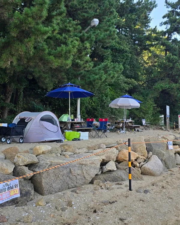 スギ海水浴場の写真3