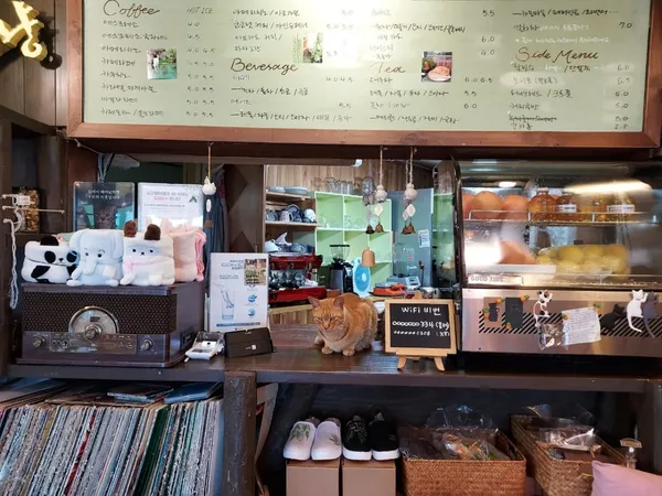 カフェクニャンの写真3