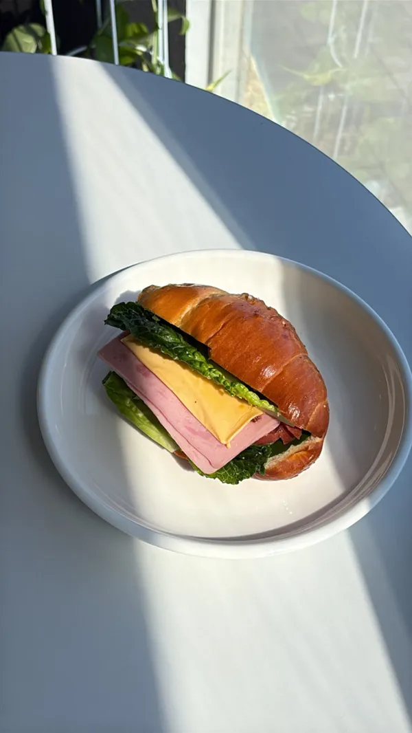 비반 사진 3