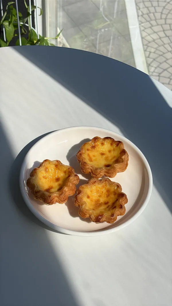 비반 사진 4
