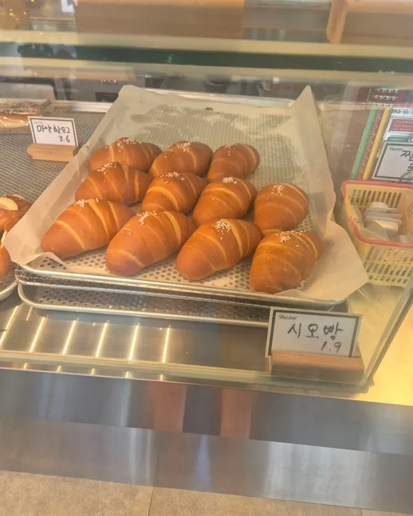 파브롯 사진 3