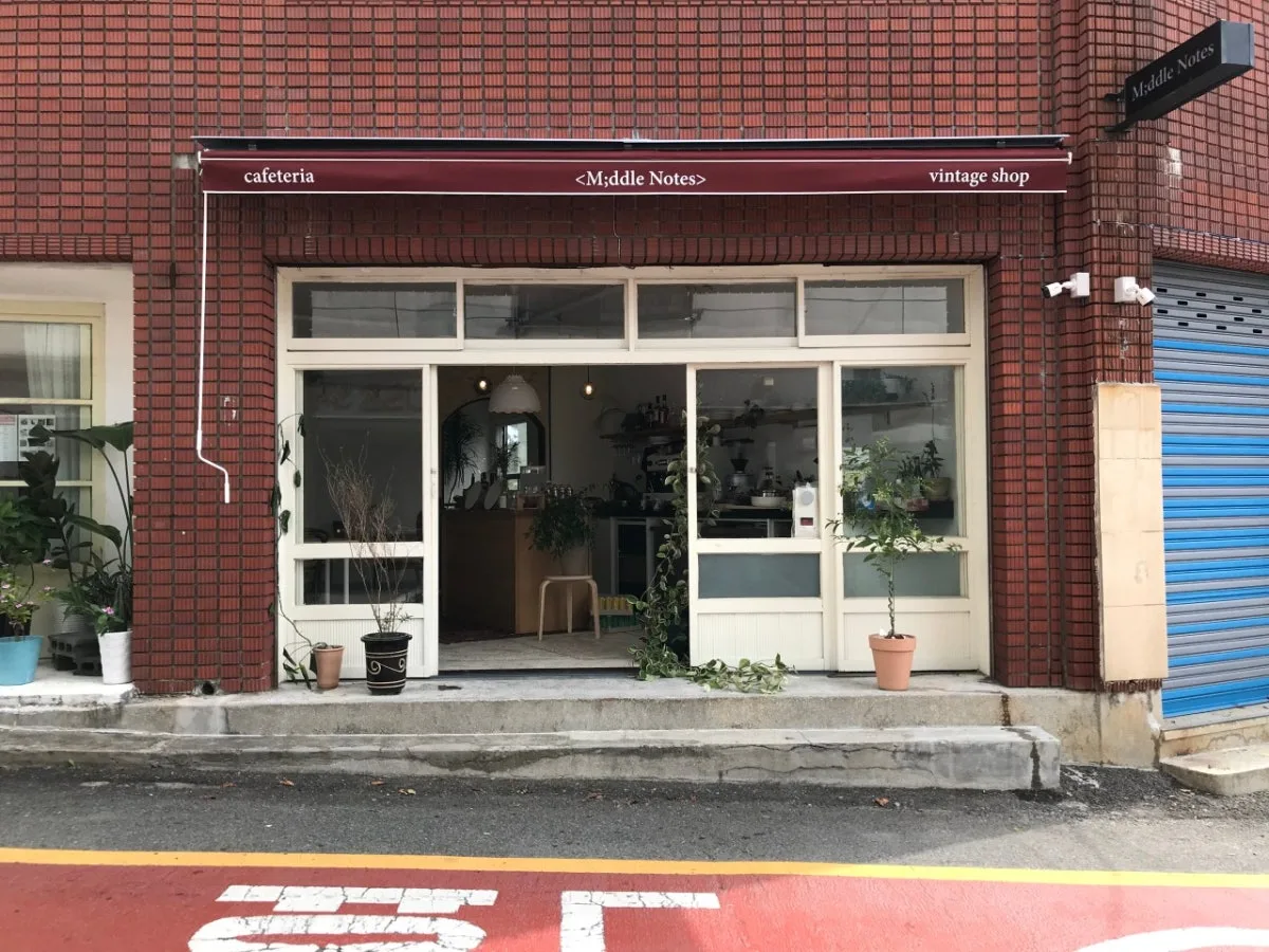 ミドルノッツのメイン写真