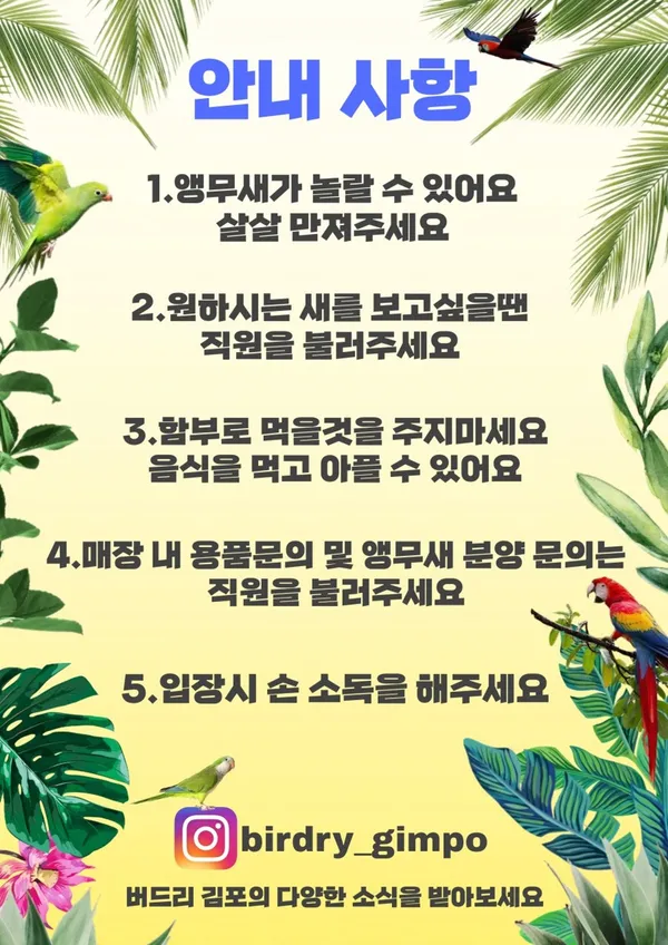앵무새카페 버드리 사진 5