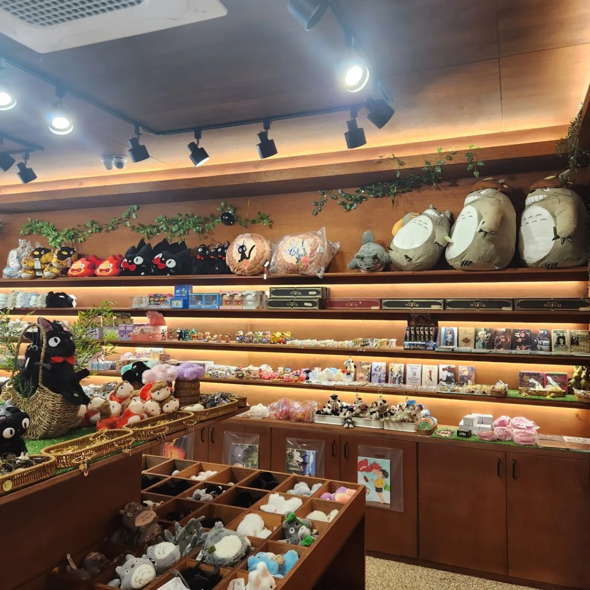 ヒピモンド チョンポ店のメイン写真