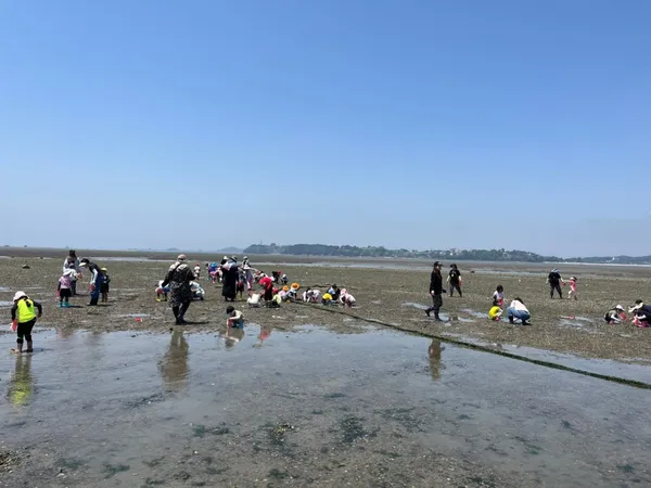 백미리어촌체험마을の写真3