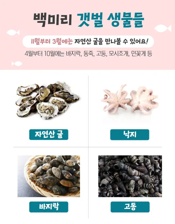 백미리어촌체험마을の写真5