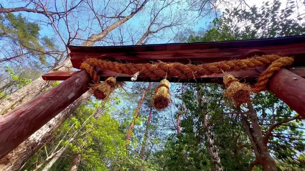 산마치스지の写真4