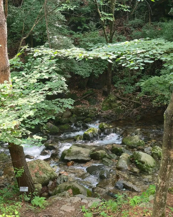 국립백운산자연휴양림 사진 2