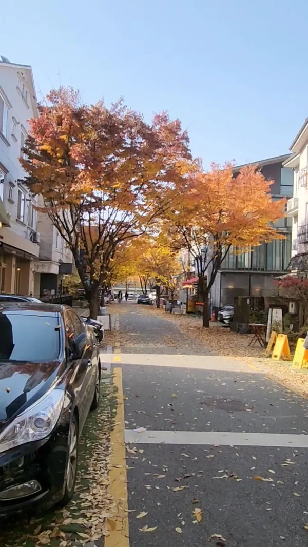 ポジョンドンカフェ通り