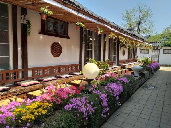 산청 단성 추천 9곳
