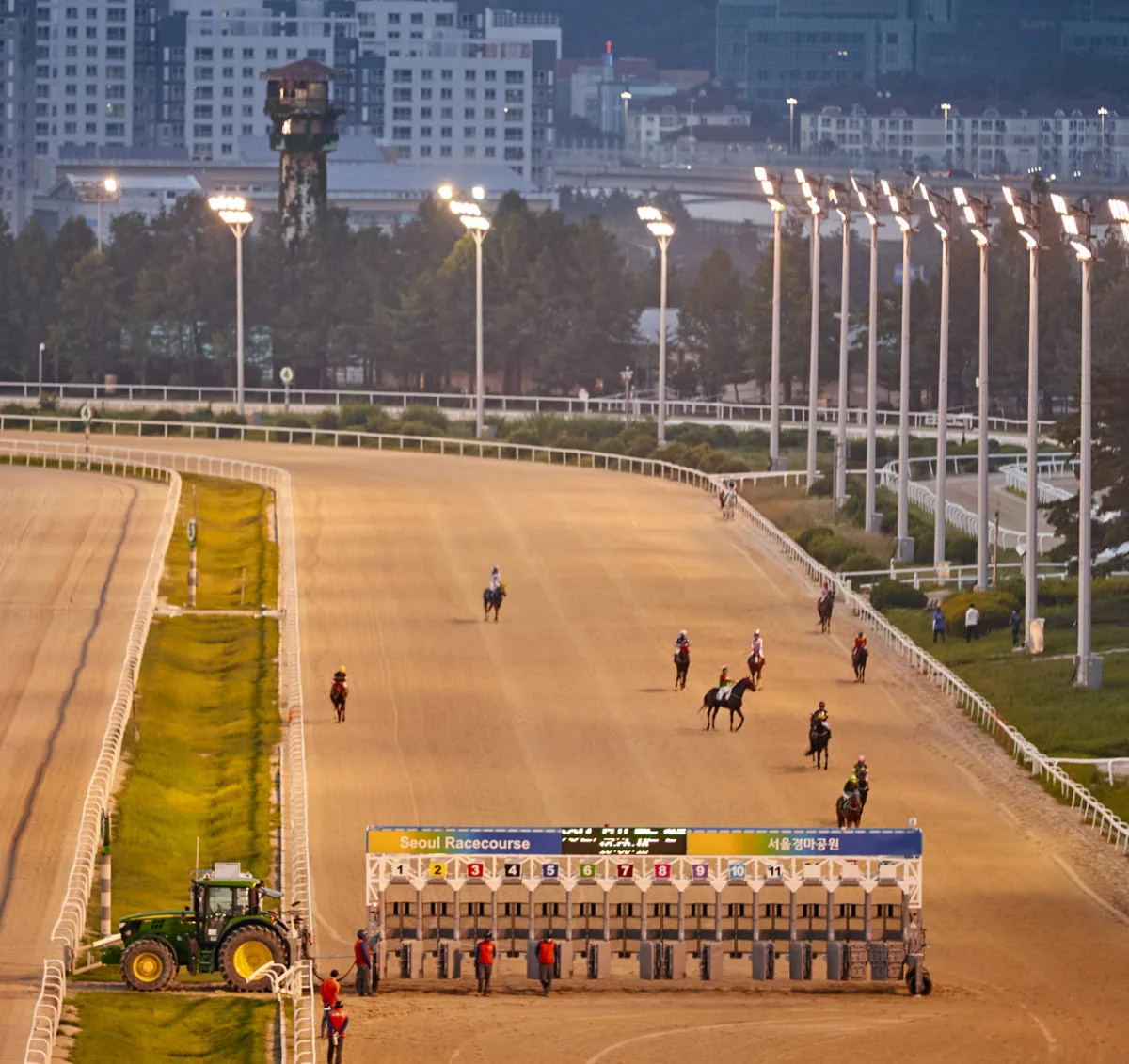 韓国馬事会のメイン写真