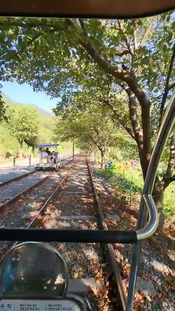 チョンドレイルバイクの写真5
