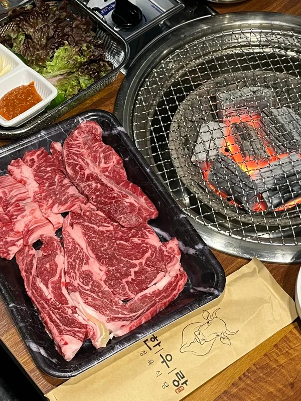 ハヌラン ドメチュクサンの写真2