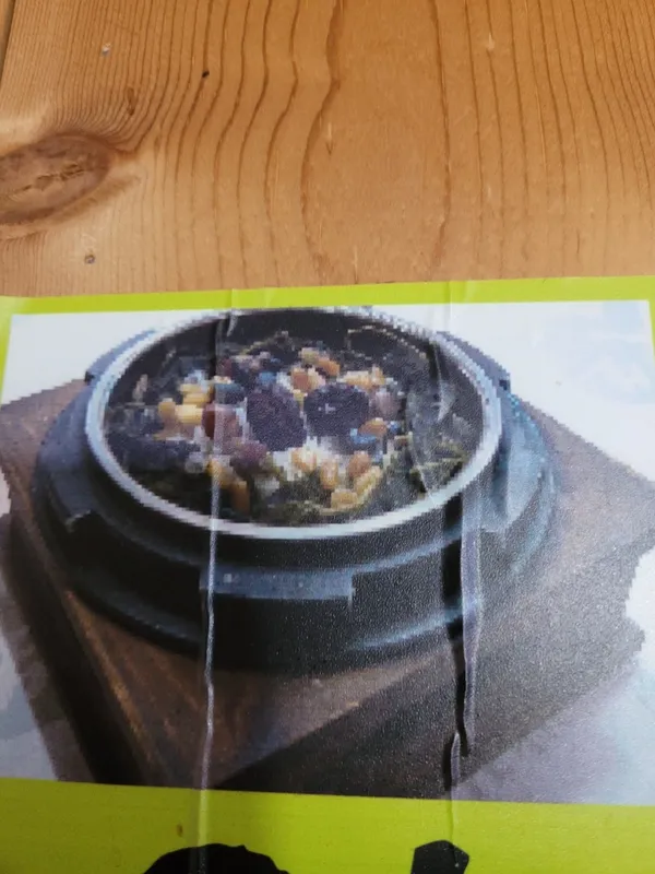 산능이본가 사진 5