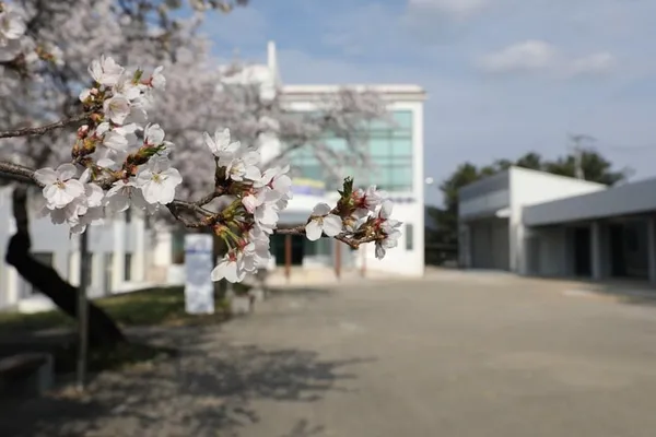 国立昌原大学校 コチャンキャンパス