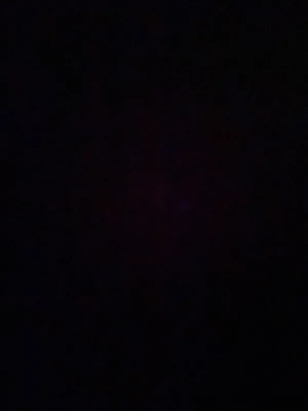 オメガメの写真4