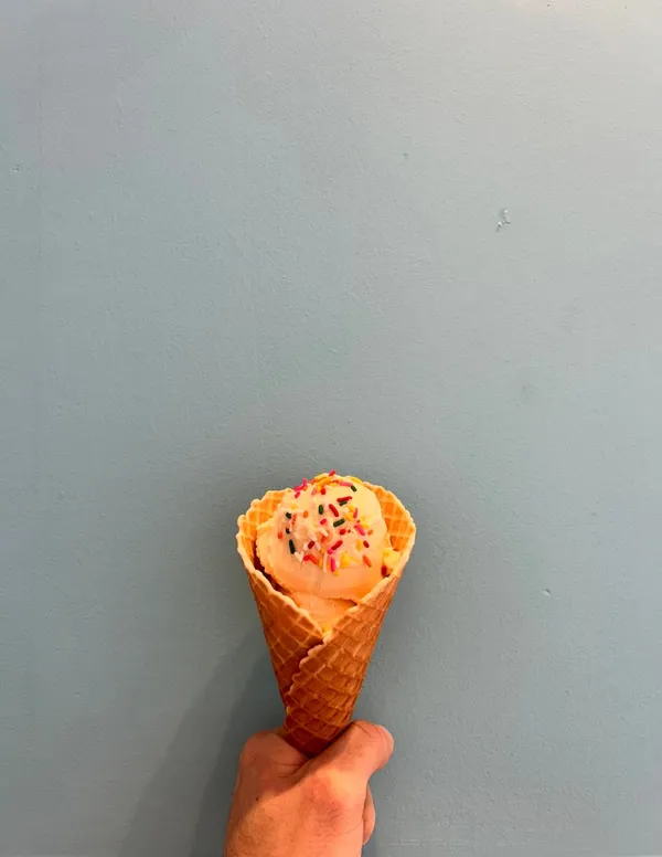스쿱스 사진 4