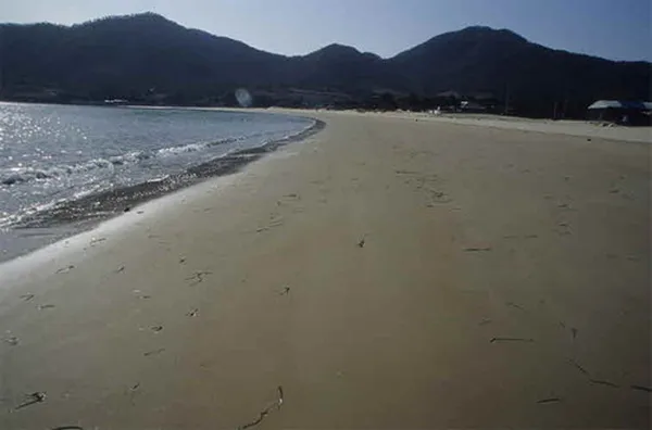 도초도 사진 2
