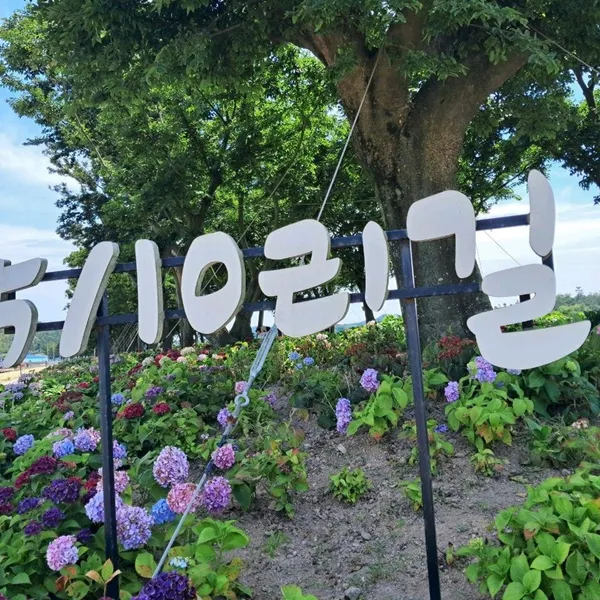 도초도 사진 4