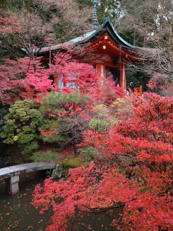 비샤몬도の写真3
