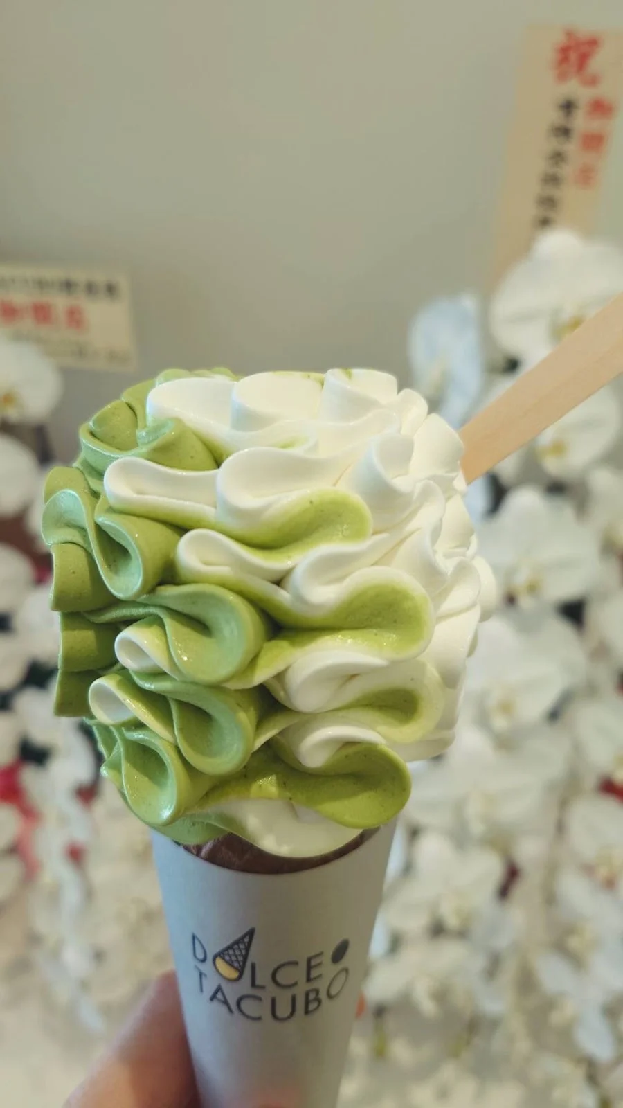 DOLCE TACUBO GINZAのメイン写真