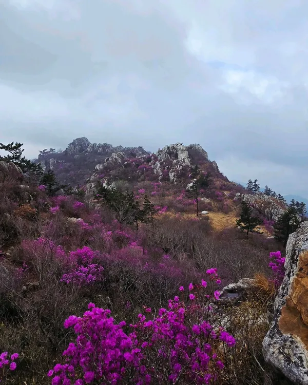 주작산 사진 3