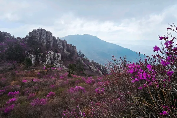 주작산 사진 4