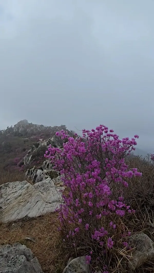 주작산 사진 5