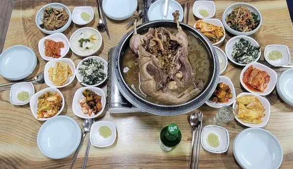 보성 가볼 만한 곳 2탄 8곳