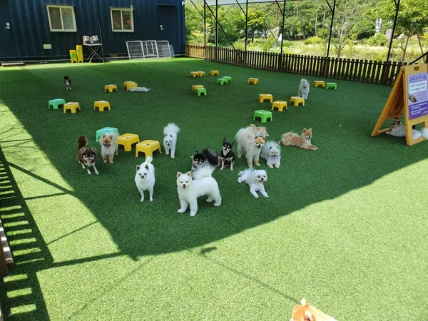 パドゥギネ動物園の写真2