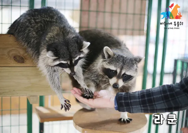 パドゥギネ動物園