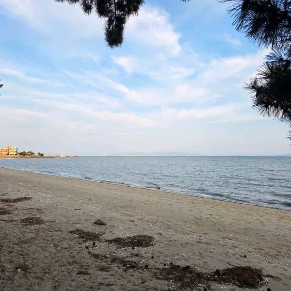 ミョンギョ海水浴場の写真2