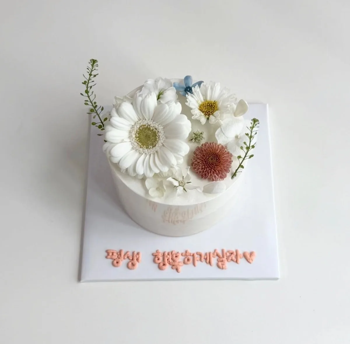 キムプティケーキのメイン写真