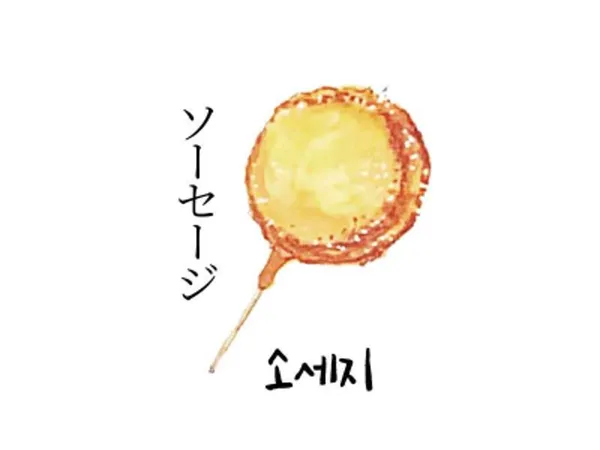 カメチャンの写真4