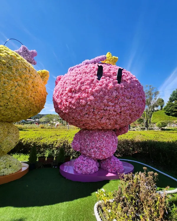 テチョンホバンジャヨンスビョン公園の写真2