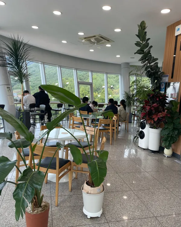 보현산 전망대카페 사진 4