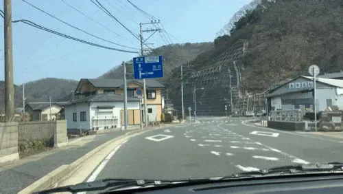 ヒタカツコウの写真5