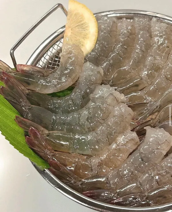 モグリヤの写真4