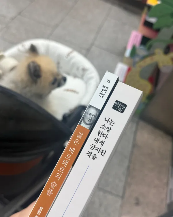 フゴクムンゴの写真5
