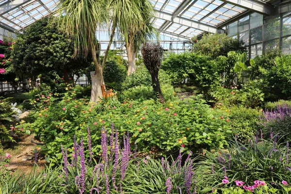 ピョンテクシジャヨンテマ植物園