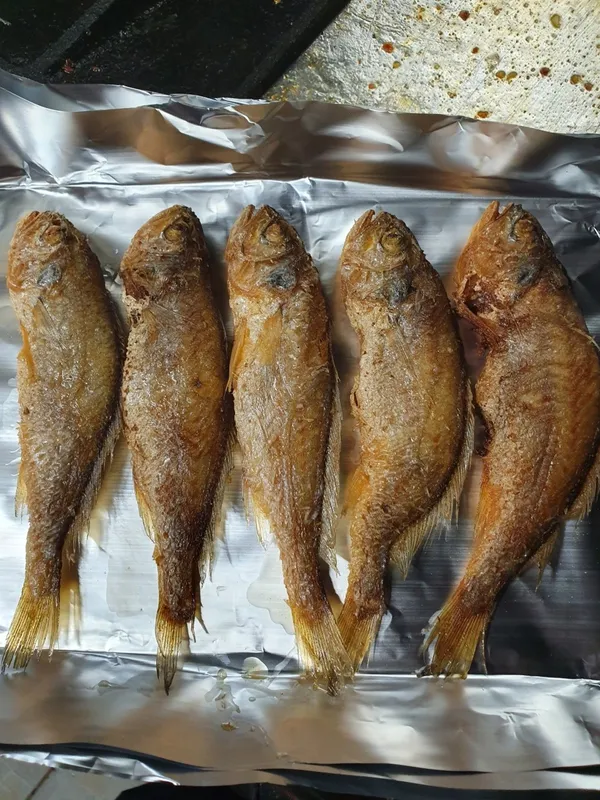 タッパルジプの写真3
