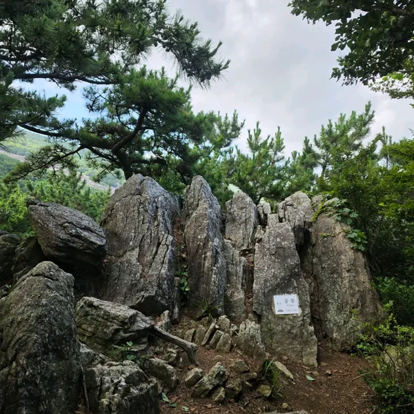 チャンサンの写真4